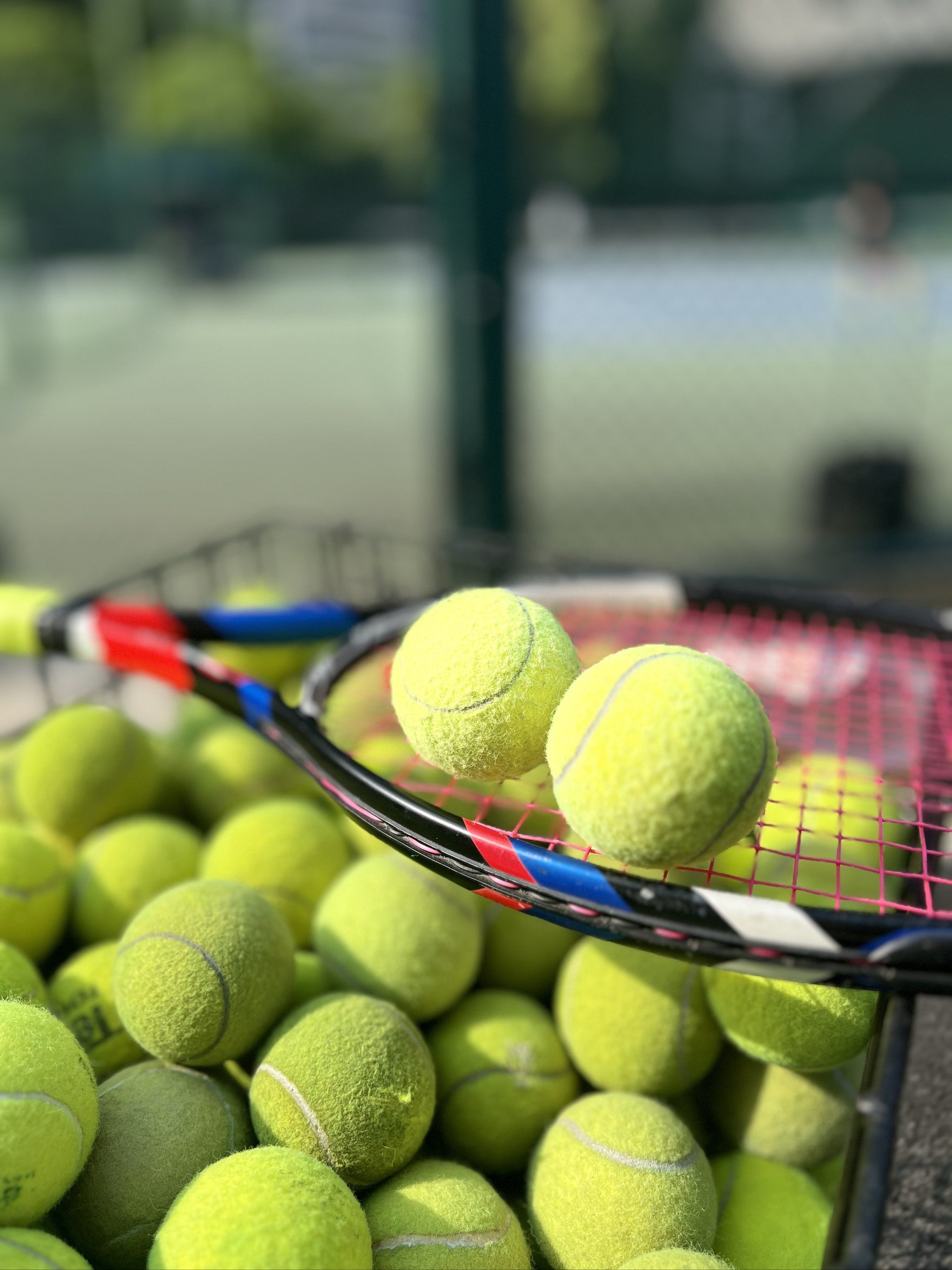 不仅投篮命 不仅投篮命