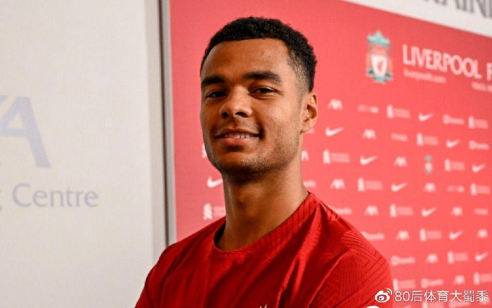 可以在看似 可以在看似